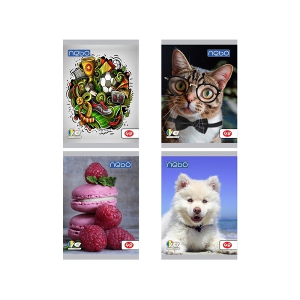 Rb Nebo Caiet A5 48 File Foi Veline 10/set (1653)