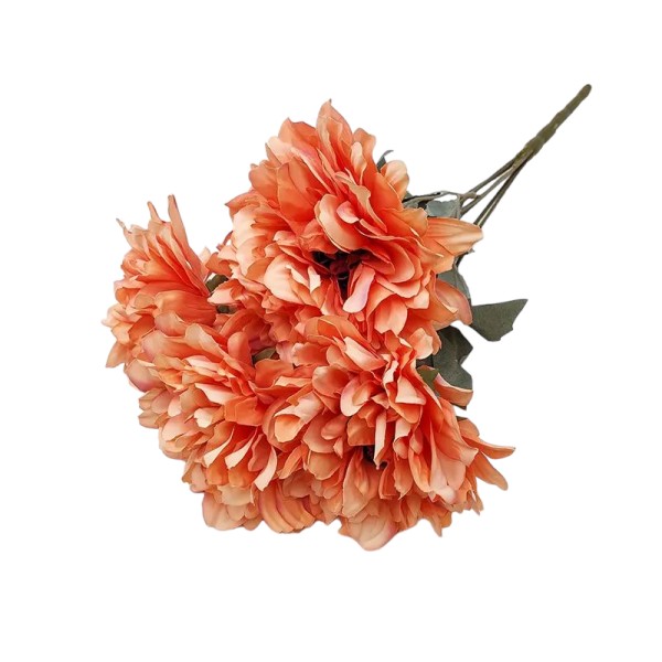 Ld Buchet Dalie Dif Culori