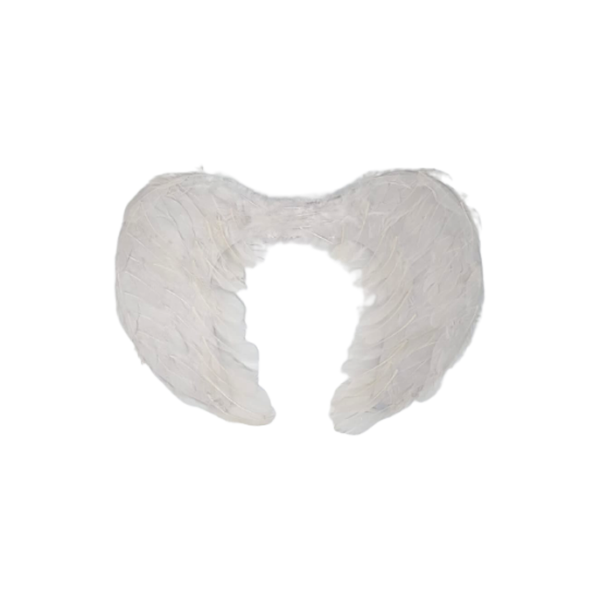 Lve Aripi De Inger 49-1 Lve Aripi De Inger 49-1