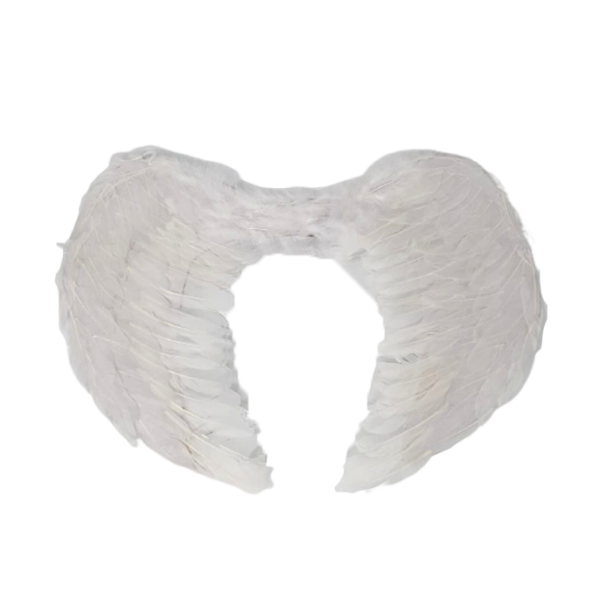 Lve Aripi De Inger 49-3 Lve Aripi De Inger 49-3