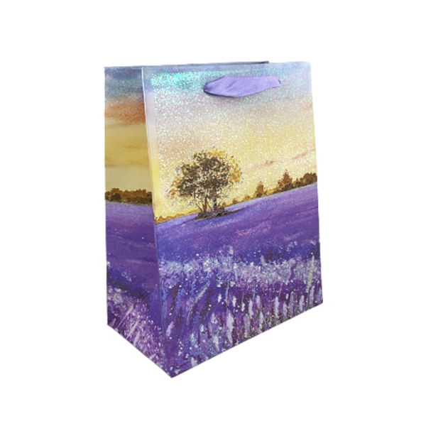 Lve Pungi Cadou 23*18*10cm 12buc/set 41-33